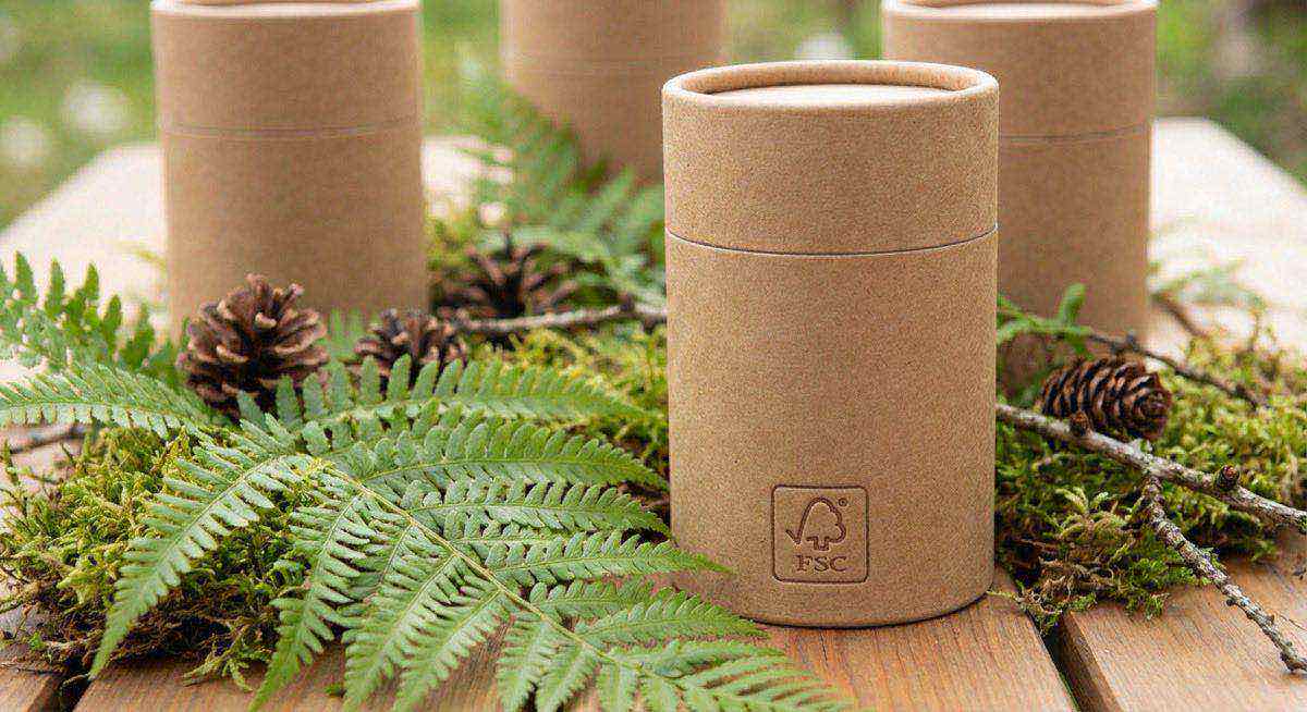 環保紙罐包裝搭配綠色植物展示永續概念,品牌永續轉型實戰客製紙罐指南。